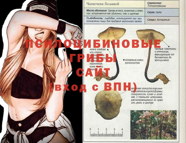 стаф Бронницы