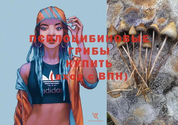 MDMA Богородск