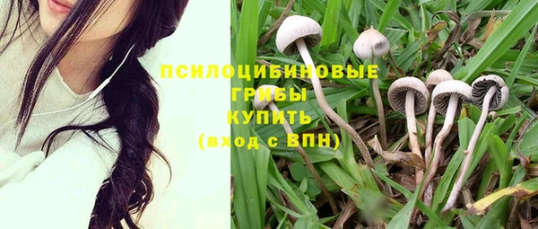 мет Бородино