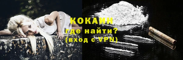 мет Бородино