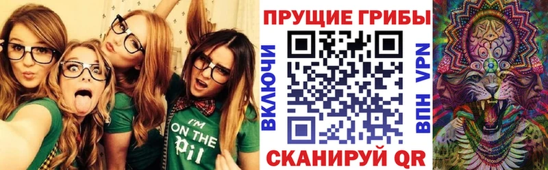 блэк спрут ССЫЛКА  Монино  Галлюциногенные грибы GOLDEN TEACHER  купить наркотики цена 